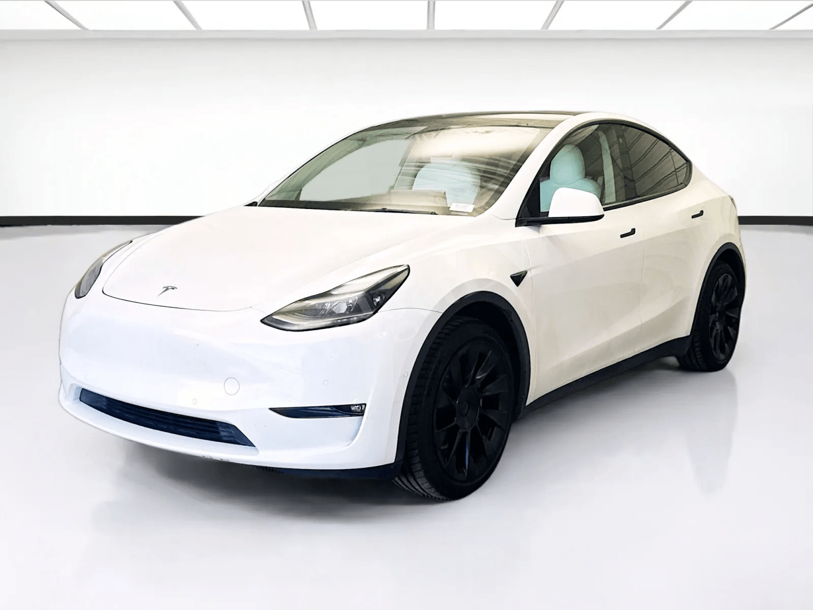 Model Y
